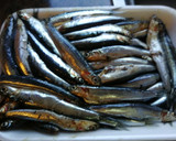 Foto del paso 1 de la receta: Boquerones fritos con pimientos de Padrón