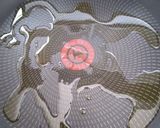 Foto del paso 3 de la receta: Enchiladas de Mole