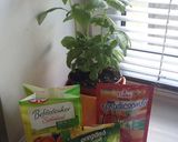 Pizzaszósz télire, friss paradicsomból recept fázis 4 fotója