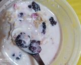Foto del paso 9 de la receta: Postre fit con 12 g de proteína natural