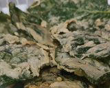 Foto langkah ke 5 dari resep Kripik Bayam.