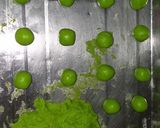 Foto langkah ke 3 dari resep Kuker pandan keju no oven.