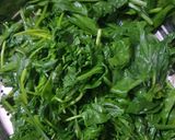 પાલક પનીર (Palak Paneer Recipe In Gujarati) રેસીપી સ્ટેપ2ફોટો