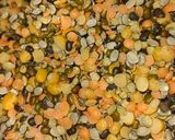पंचरत्न दाल (Panchratn daal recipe in Hindi) रेसिपी चरण 1 फोटो