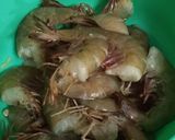 Foto langkah ke 1 dari resep Udang Saus Asam Manis.