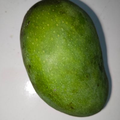 Langkah 1