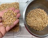 Foto del passaggio 2 della ricetta Insalata di farro e lenticchie