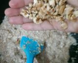 अंजीर बर्फी (Anjeer barfi recipe in hindi) रेसिपी चरण 3 फोटो