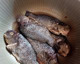 Foto langkah ke 1 dari resep Mujair sambal.