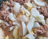 Foto del paso 2 de la receta: Tarta de Atún Fácil para Vigilia