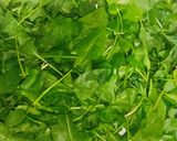A picture of step 2 of Freeze Spinach leaves.