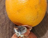 Foto del paso 1 de la receta: Ensalada de Naranja y cebolla