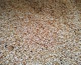 તલ ની ચીક્કી (Tal Chikki recipe in gujarati) રેસીપી સ્ટેપ1ફોટો