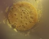 Foto del paso 2 de la receta: Pastel de Merluza al vapor