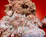 Foto del passaggio 2 della ricetta Pallotte fritte croccanti