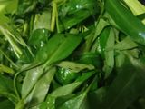 Cah Kangkung Special 😍