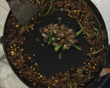 Foto del paso 8 de la receta: Discada Rosales (al disco de arado)