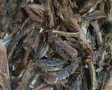 Foto langkah ke 3 dari resep Tumis Klothok cabe hijau.