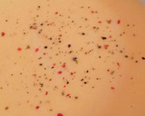 Foto del paso 3 de la receta: Crema de calabaza rápida 🎃