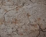 Foto del paso 5 de la receta: Pizza saludable a la sartén, de trigo sarraceno o alforfón 🍕 Pizza sin gluten y con opción FODMAP 🎨