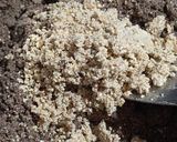 A picture of step 2 of Ragi pinni.