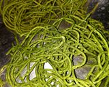 પાલક સેવ (Palak Sev Recipe In Gujarati) રેસીપી સ્ટેપ3ફોટો