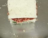 A picture of step 5 of Tri Colour Sandwich.