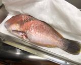 糖醋澎湖野生寒鯛的食譜步驟2照片