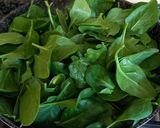 Foto del paso 2 de la receta: Salsa verde de espinacas