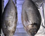 A picture of step 2 of Grilled fish.
