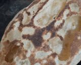 A picture of step 4 of Whole Wheat Tandoori Naan.