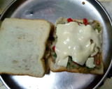 तिरंगा वेज सैंडविच(tiranga veg sandwich recipe in hindi) रेसिपी चरण 3 फोटो