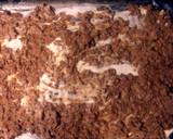 A picture of step 5 of Creamy Burrito Casserole.