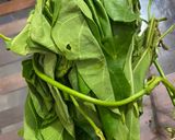Hình bước làm 1 của món Lá ngón xào trứng (loai lá ngón ăn được nhé)