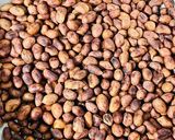 A picture of step 1 of Peanut Chutney.