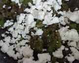 A picture of step 3 of Capsicum Paratha.