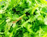 Hình bước làm 1 của món Canh rau tần ô nấu tôm tươi