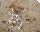 A picture of step 7 of Wholegrain chapati with onion and coriander.