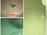 Bolu pandan panggang