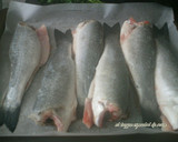 Foto del paso 1 de la receta: Lubina al horno con verduras salteadas