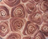 A picture of step 8 of Cinnamon rolls 2.