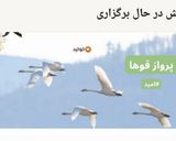 عکس مرحله 1 از دستور کاپ کیک موزی دو رنگ