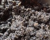 A picture of step 2 of Black Sesame Ladoo.