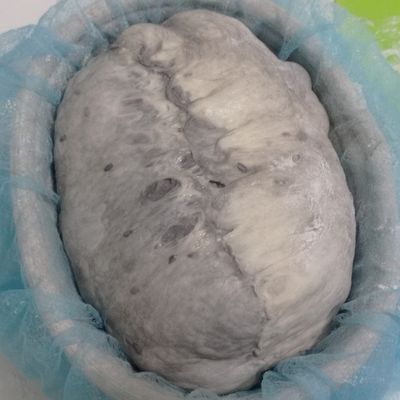 Langkah 10