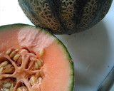 Foto del paso 1 de la receta: Mousse de melón