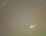 Foto del paso 1 de la receta: Postrecito de Maizena y leche deslactosada