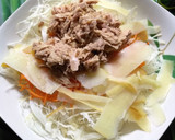 Foto del paso 1 de la receta: Ensalada de col con salsa de yogurt 0