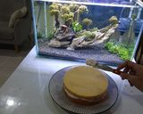 Foto langkah ke 8 dari resep Slice Cake Rumahan.