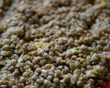 Lencsefasírt (gluténmentes, vegetáriánus, vegán, tojásmentes) recept fázis 2 fotója