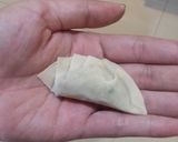 Foto langkah ke 5 dari resep Gyoza Isi Soun dan Kentang.